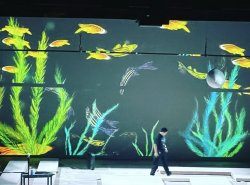 Memoir of a Zebrafish, Cathy Bebout